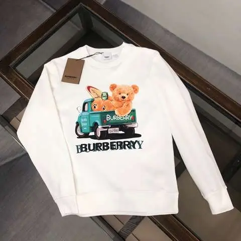High quality Replica Burberry Hoodie for men