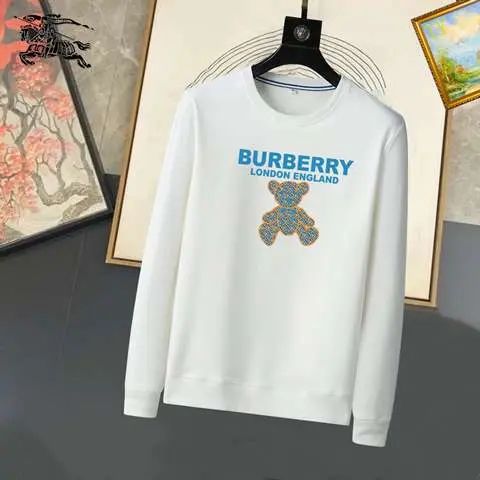 High quality Replica Burberry Hoodie for men