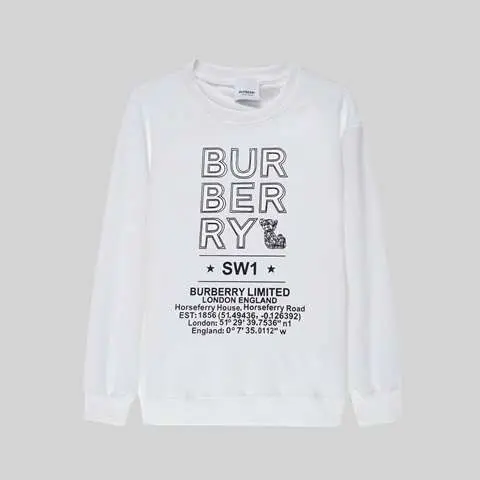 High quality Replica Burberry Hoodie for men