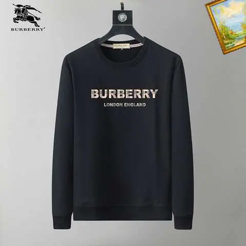 High quality Replica Burberry Hoodie for men