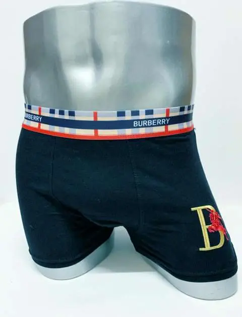 New Model Replica Burberry Underpants For Men